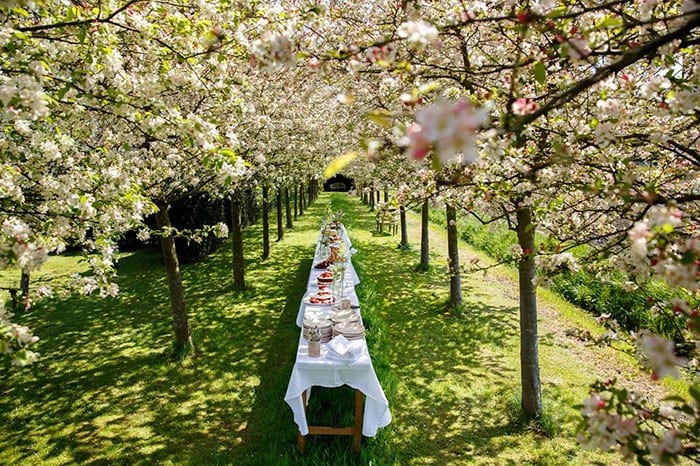 secluded elopement location in Holland