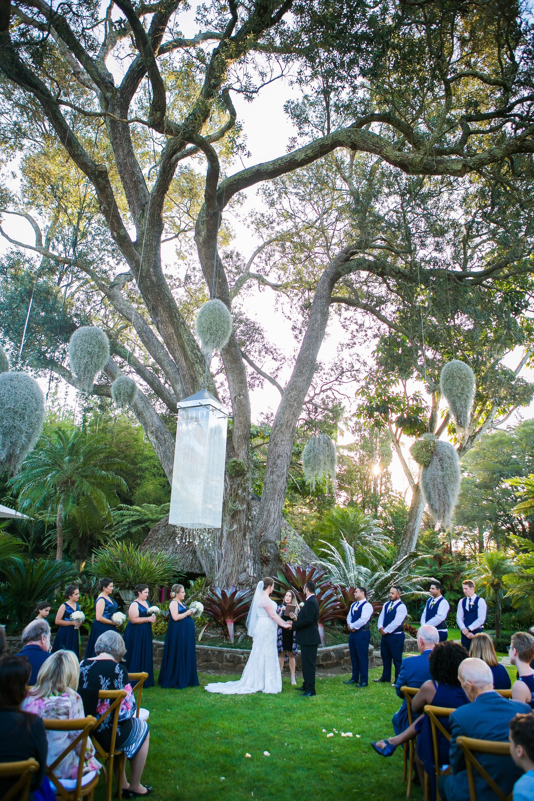 trouwen onder een boom bruiloft thuis vieren