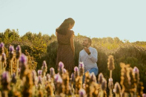 Spring marriage proposal costs Amsterdam